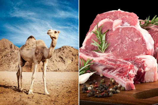 Halal - Camel Meat (Frozen) - Australian Import (price/lb)